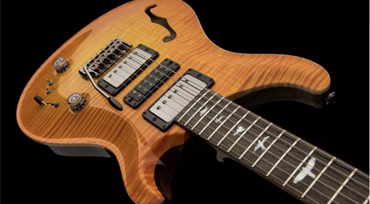 PRS Private Stock Special Semi-Hollow : tons luxueux