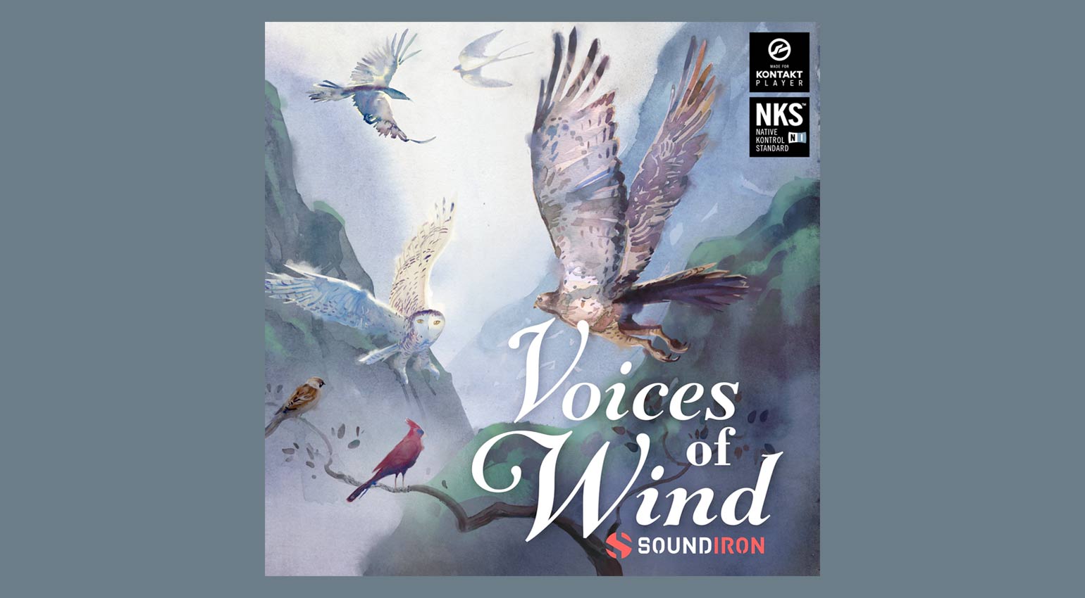 Collection Soundiron Voix du vent