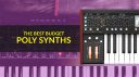 Les meilleurs polysynthés économiques