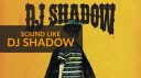 Devenez donneur d'organes : comment ressembler à DJ Shadow