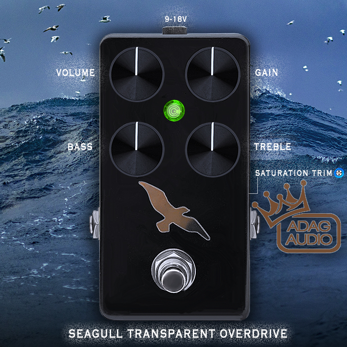 2025-GPX-Adag-Audio-Seagull-OD-V2-700.jpg