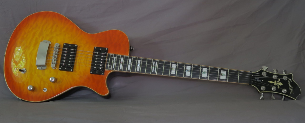 Hagstrom Select Ultra Swede en été indien