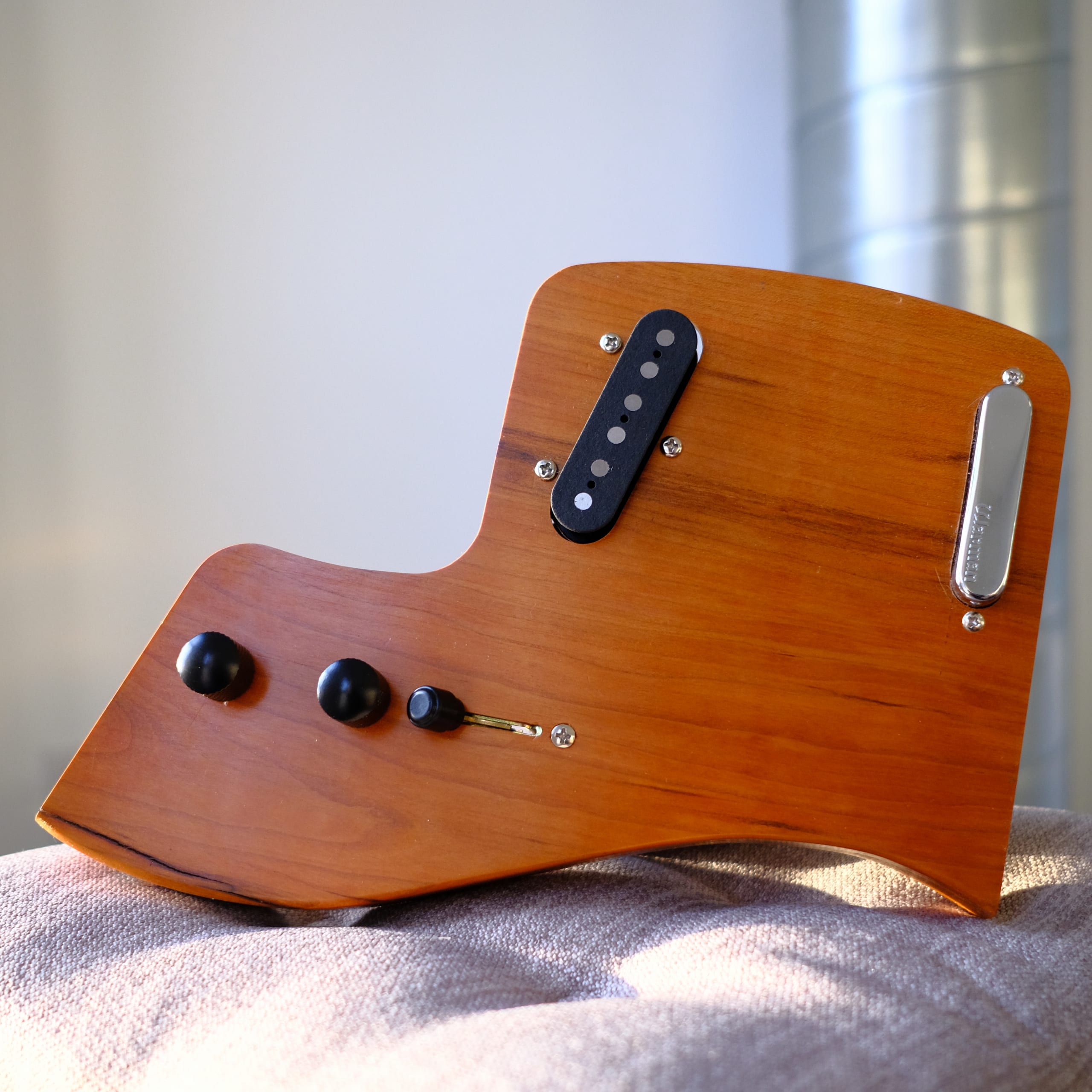 Fern Guitars La disposition Phoenix T-Style