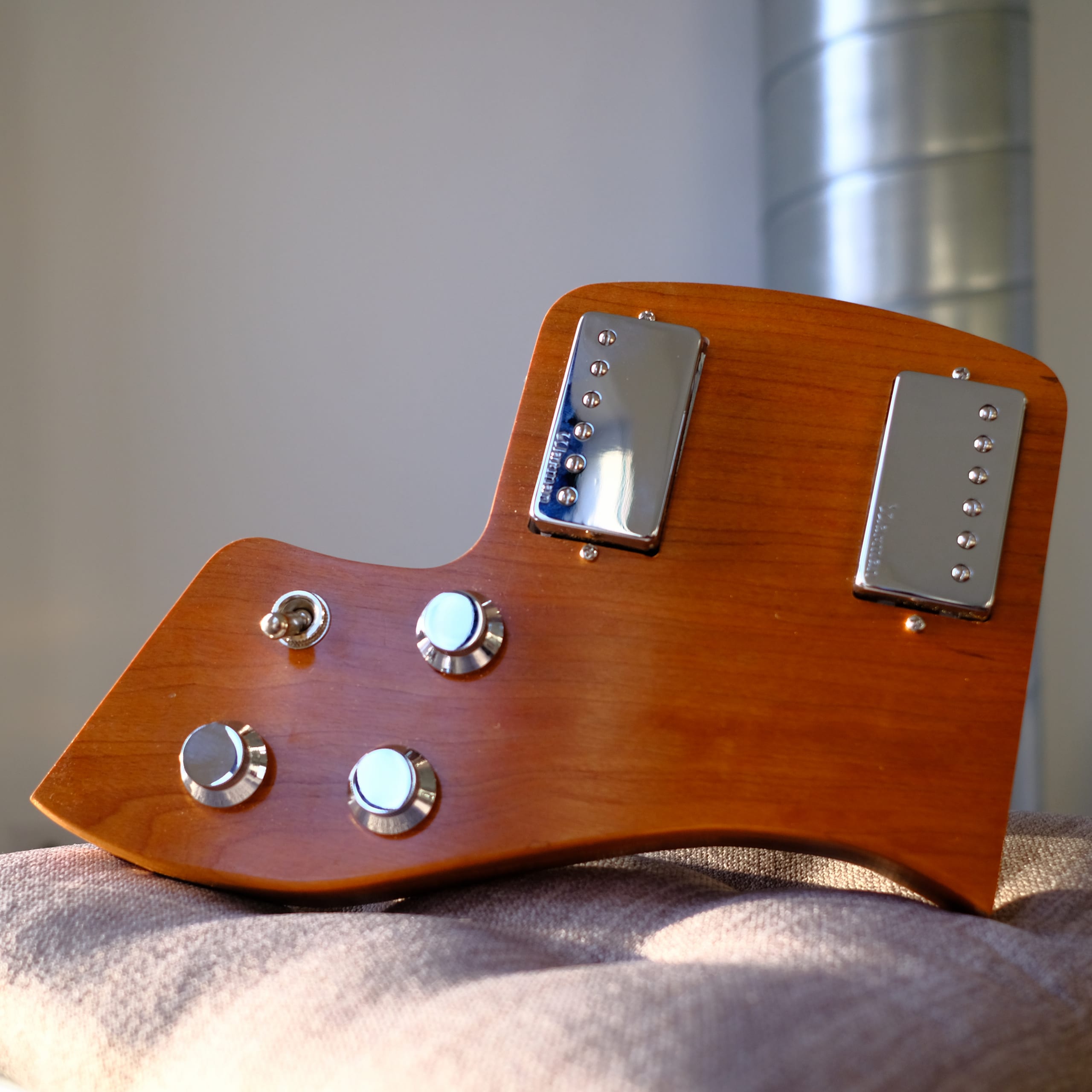 Fern Guitars La disposition Phoenix Dual Humbucker