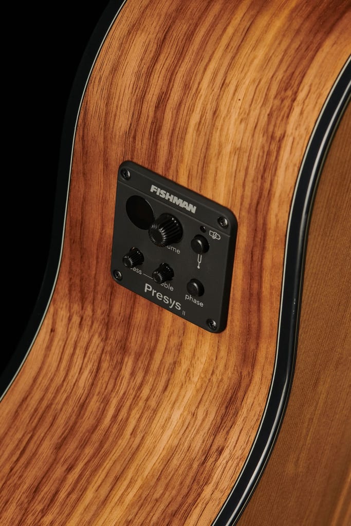   Harley Benton Custom Line CLG-48CE Wide NT avec préampli Fishman