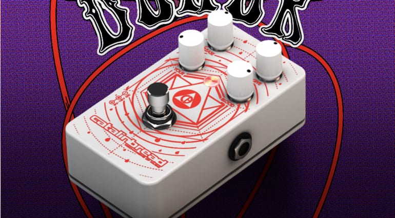 Catalinbread Blood Donor