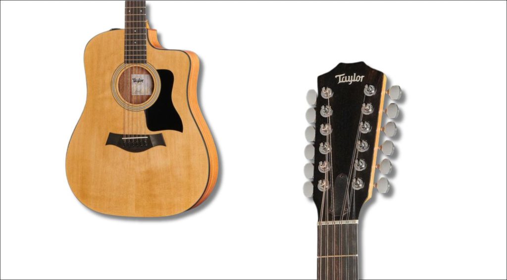 Taylor 12 cordes
