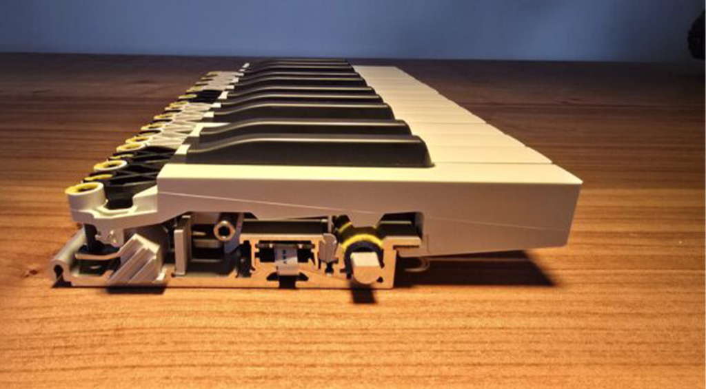 ce n'est pas sorcier-bigfish-2