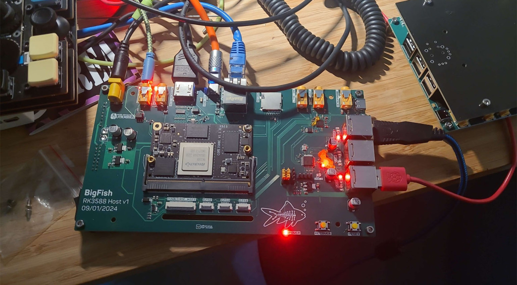 ce n'est pas sorcier-bigfish-3