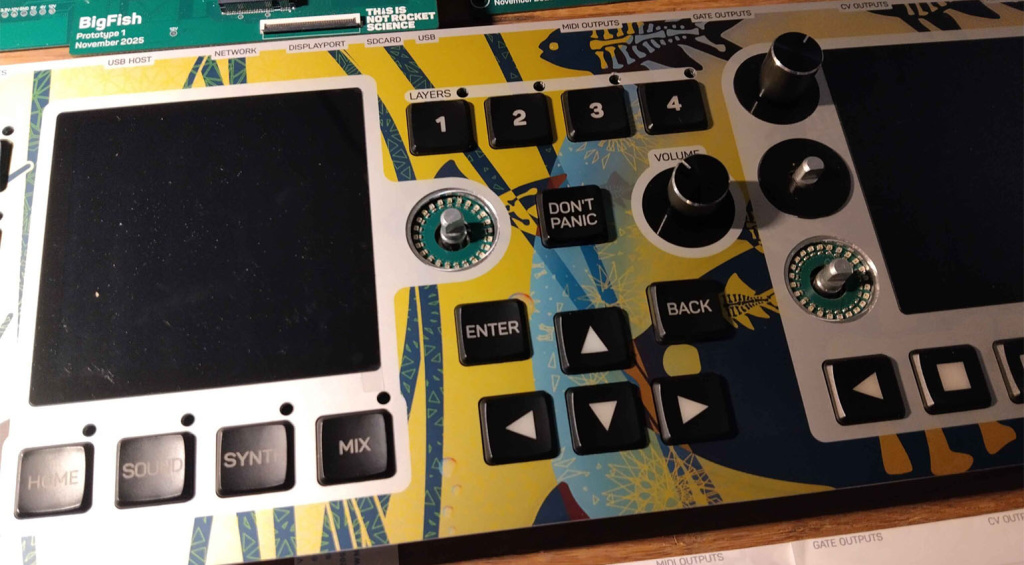 ce n'est pas sorcier-bigfish-1